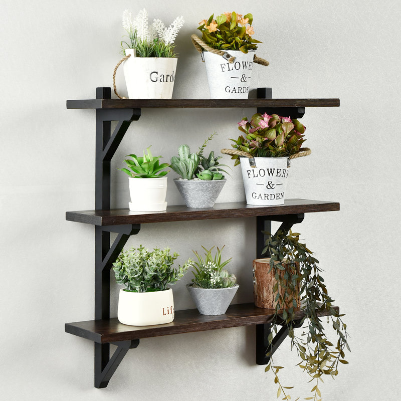 Gracie Oaks Funke 3 Piece Pine Solid Wood Tiered Shelf & Reviews Wayfair